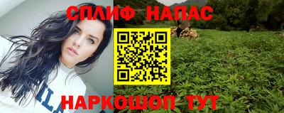 Альфа ПВП Краснознаменск
